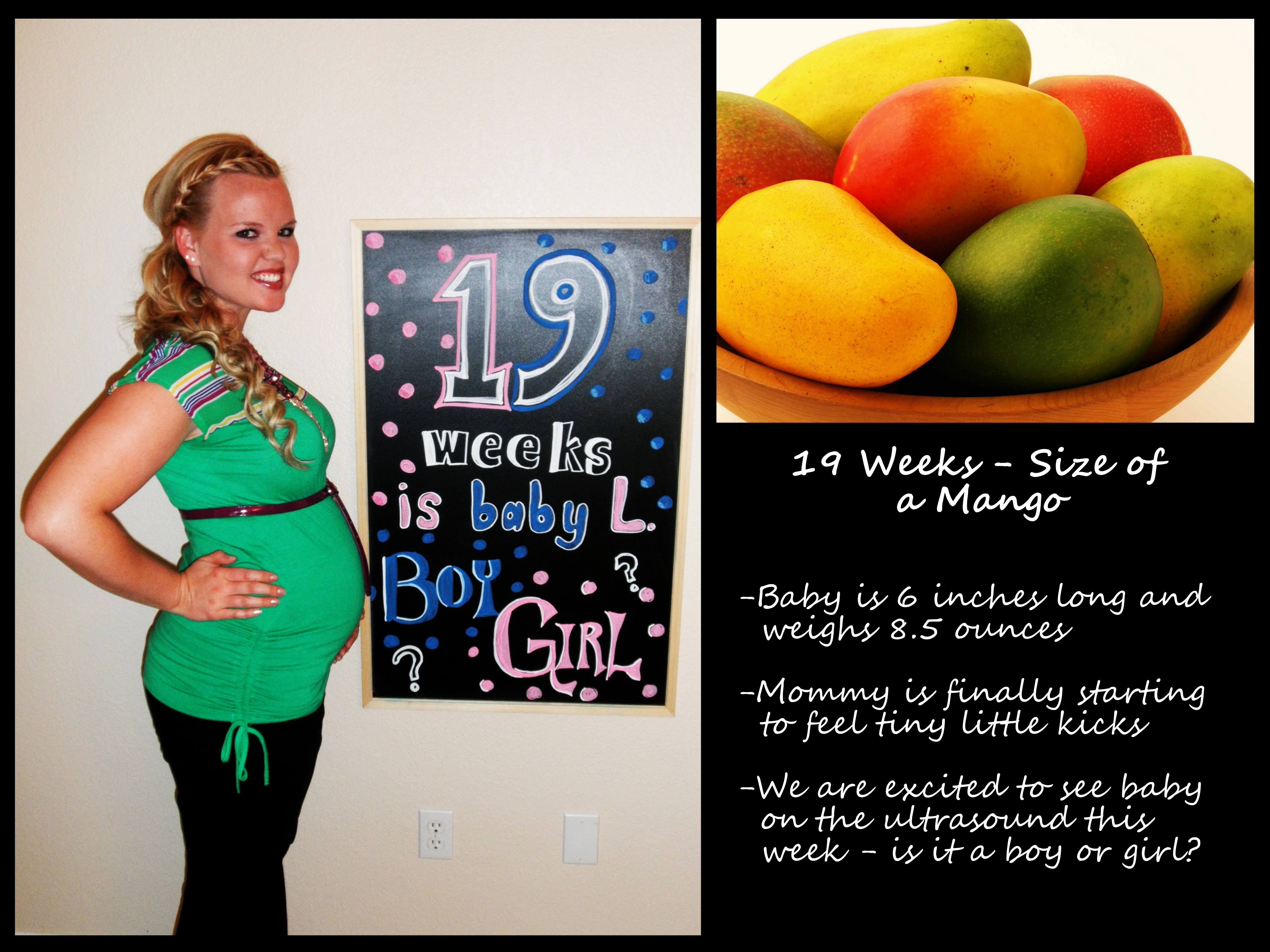 19 Weeks Pregnant Bump