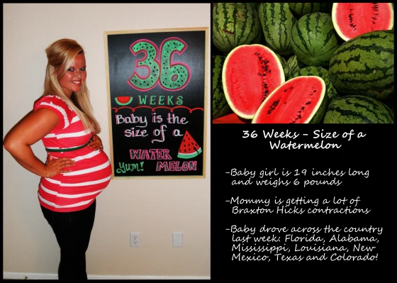 36weekswatermelon