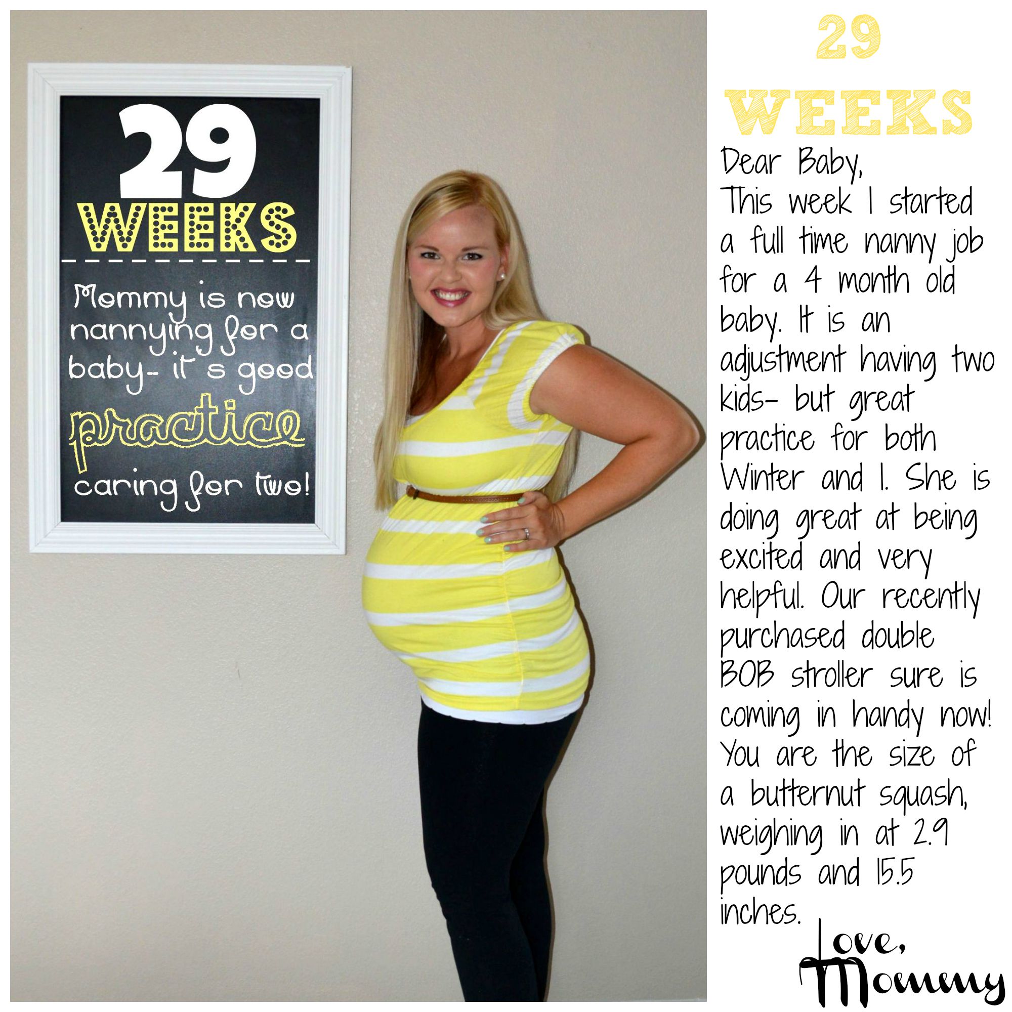 29 weeks fetus size